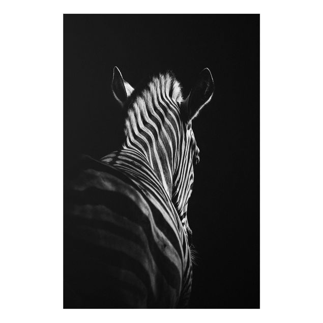 Quadro in forex - Scuro silhouette zebra - Verticale 2:3
