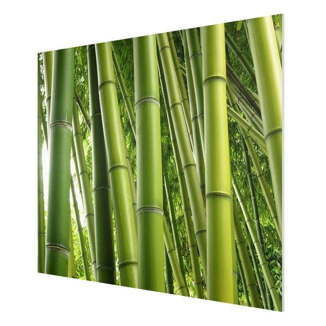 Quadro in forex - Bamboo Trees No.1 - Orizzontale 4:3