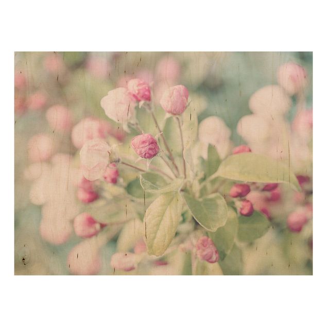 Stampa su legno - Apple Blossom rosa bokeh - Orizzontale 3:4
