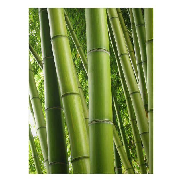 Quadro in alluminio - Bamboo Trees No.1