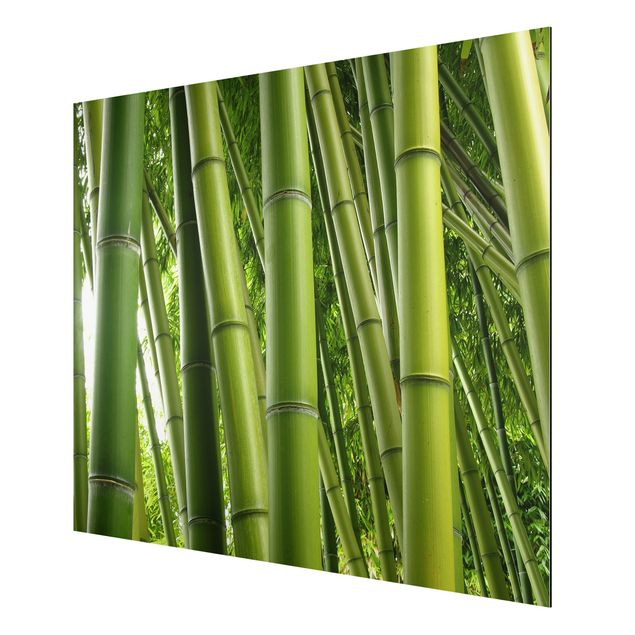 Quadro in alluminio - Bamboo Trees No.1