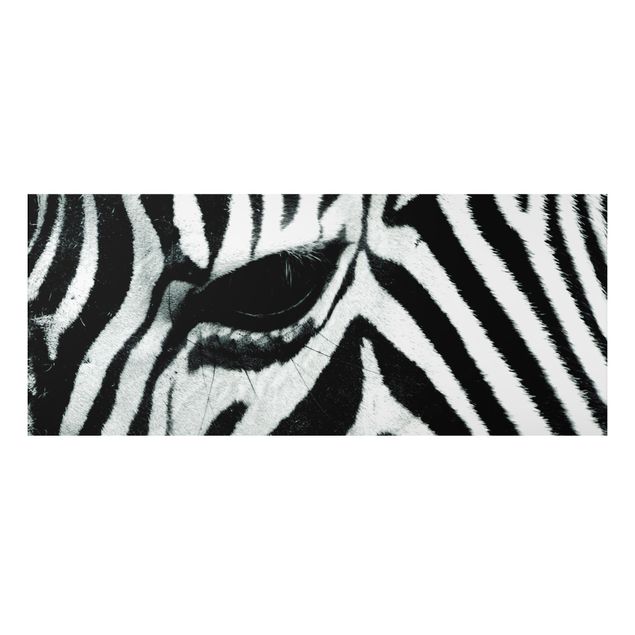 Quadro in alluminio - Zebra Wideing No.2