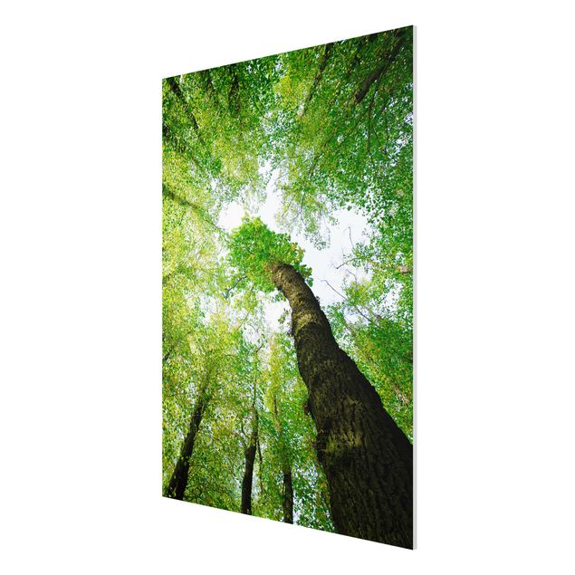 Quadro in forex - Trees Of Life - Verticale 3:4