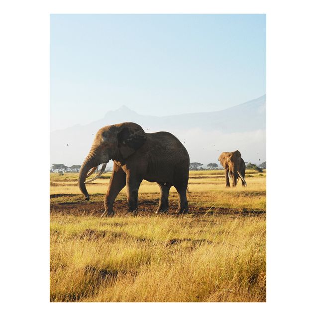 Quadro in forex - Elephants in front of the Kilimanjaro in Kenya - Verticale 3:4