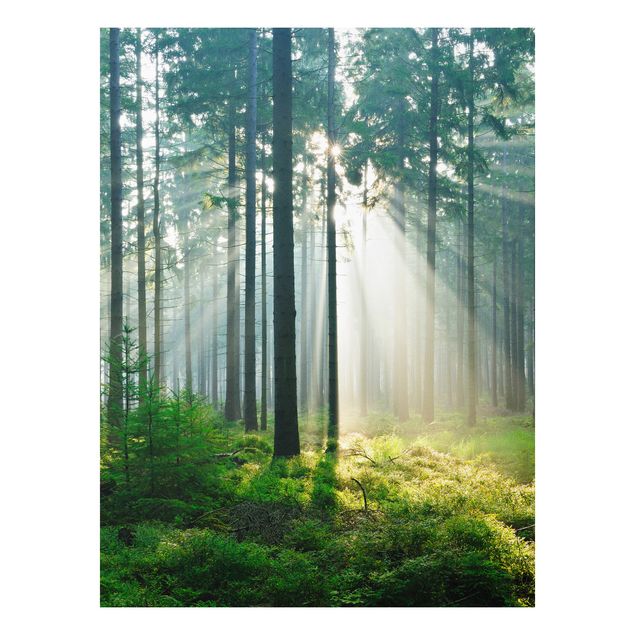 Quadro in forex - Enlightened Forest - Verticale 3:4