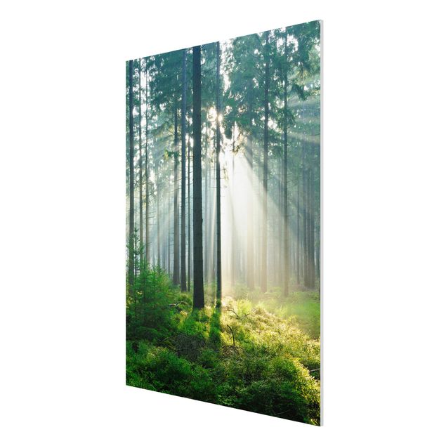 Quadro in forex - Enlightened Forest - Verticale 3:4