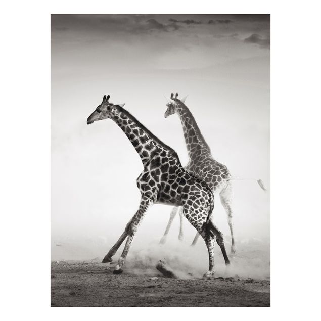 Quadro in forex - Giraffe hunting - Verticale 3:4