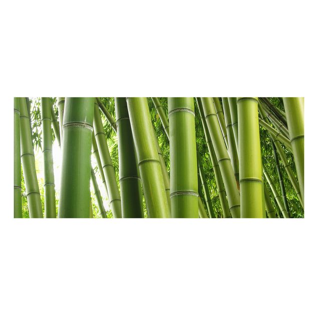 Quadro in forex - Bamboo Trees No.1 - Panoramico