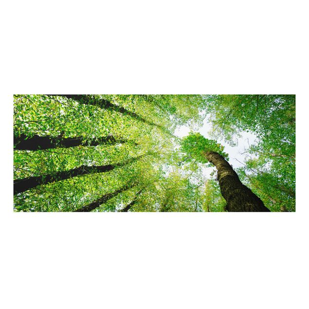 Quadro in forex - Trees Of Life - Panoramico