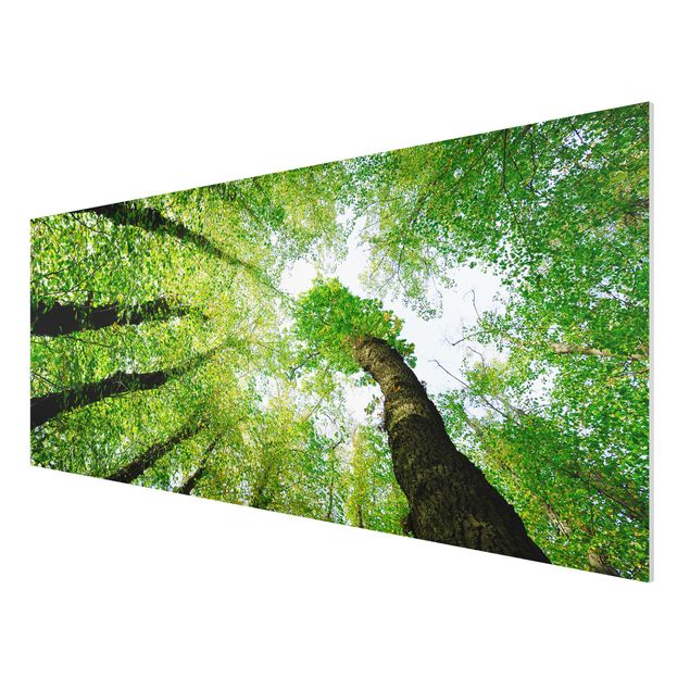 Quadro in forex - Trees Of Life - Panoramico