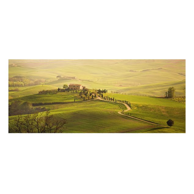 Quadro in forex - Chianti Tuscany - Panoramico