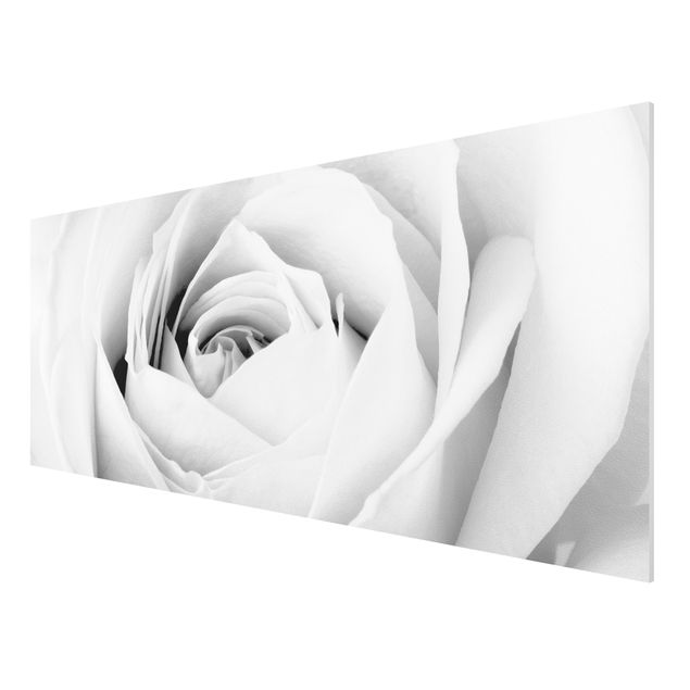 Quadro in forex - Close Up Rose - Panoramico