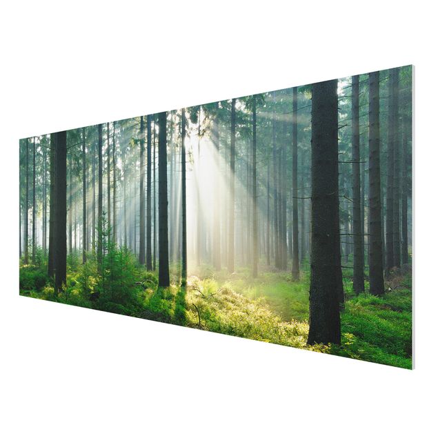 Quadro in forex - Enlightened Forest - Panoramico