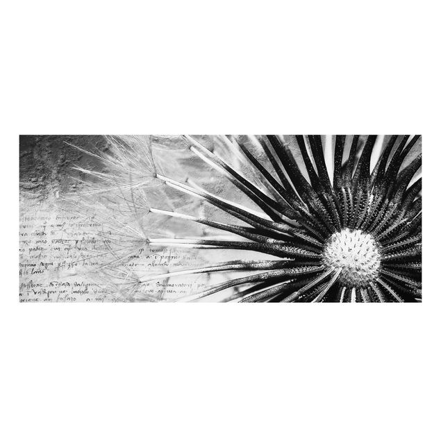 Quadro in forex - Dandelion Black & White - Panoramico