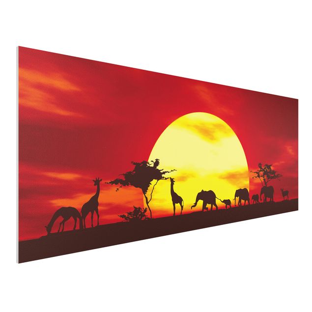 stampe animali Sunset Caravan