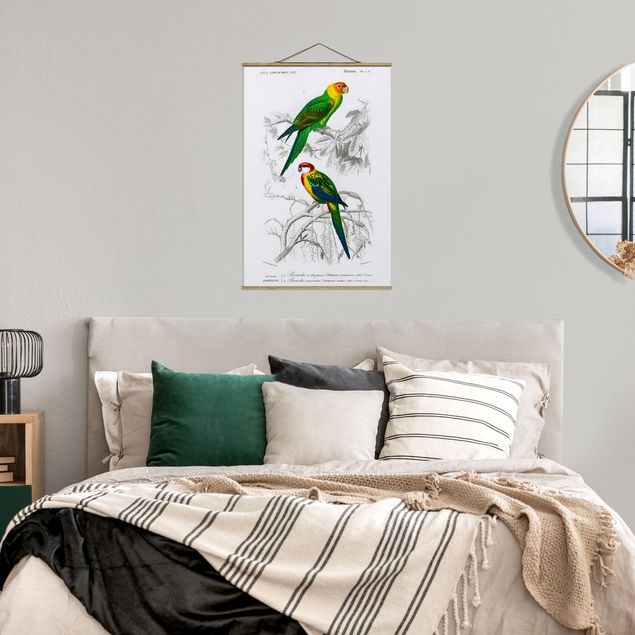 Foto su tessuto da parete con bastone - Grafico parete Vintage Due pappagalli Verde Rosso - Verticale 3:2