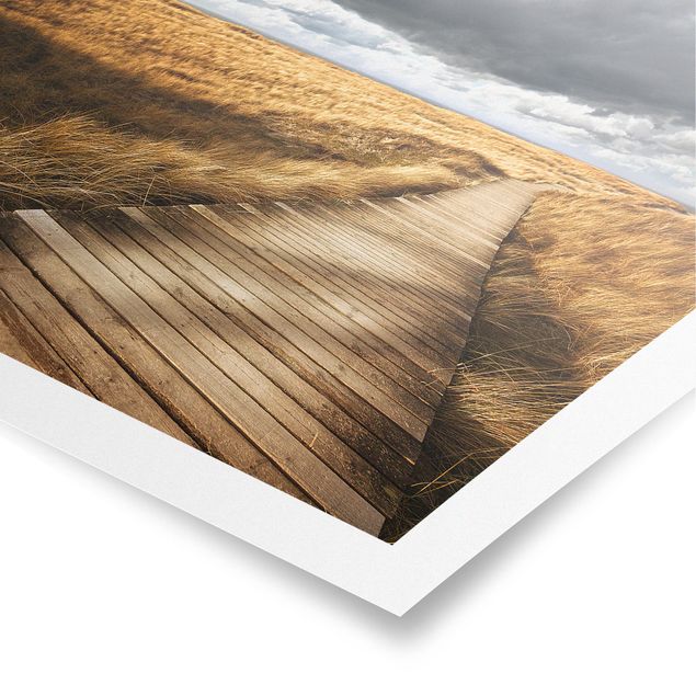Poster - Way nelle dune - Quadrato 1:1