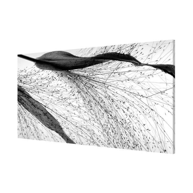 Lavagna magnetica - Canneto delicato con sottili gemme in bianco e nero