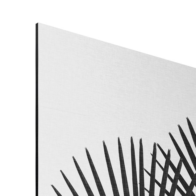 Stampa su alluminio - Foglie di palma in bianco e nero
