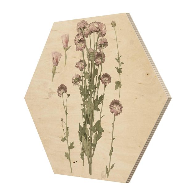 Esagono in legno - Herbarium In Pink I