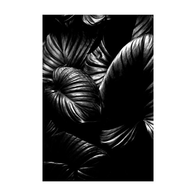 Tappeti giungla Hosta botanica in bianco e nero