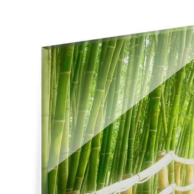 Paraschizzi in vetro - Bamboo Way