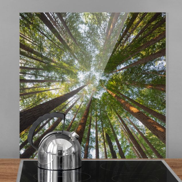 paraschizzi vetro magnetico Cime di Sequoia