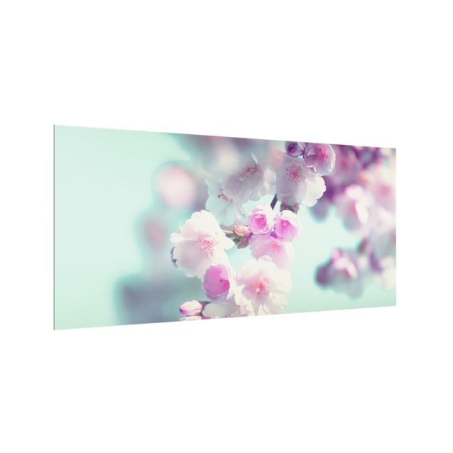 Paraschizzi in vetro - Fiori di ciliegio colorati - Formato orizzontale 2:1
