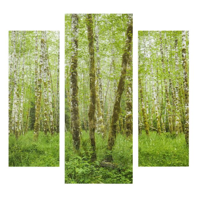 Stampa su tela - Hoh Rain Forest In Olympic National Park - Trittico da galleria