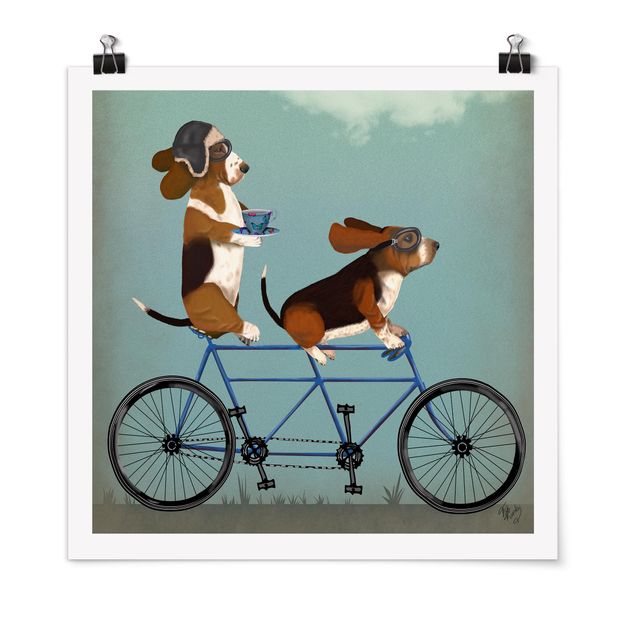Poster illustrazioni Ciclismo - Tandem di bassotti
