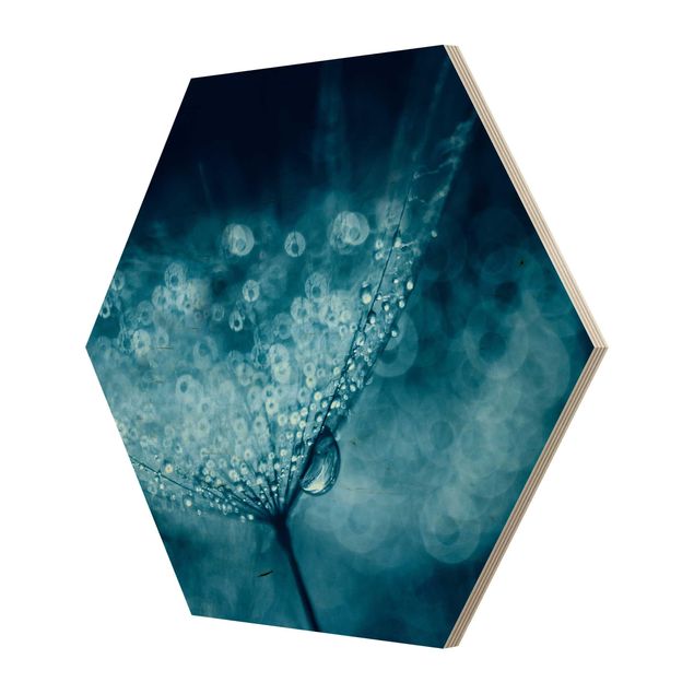 Esagono in legno - Blu Dandelion In The Rain