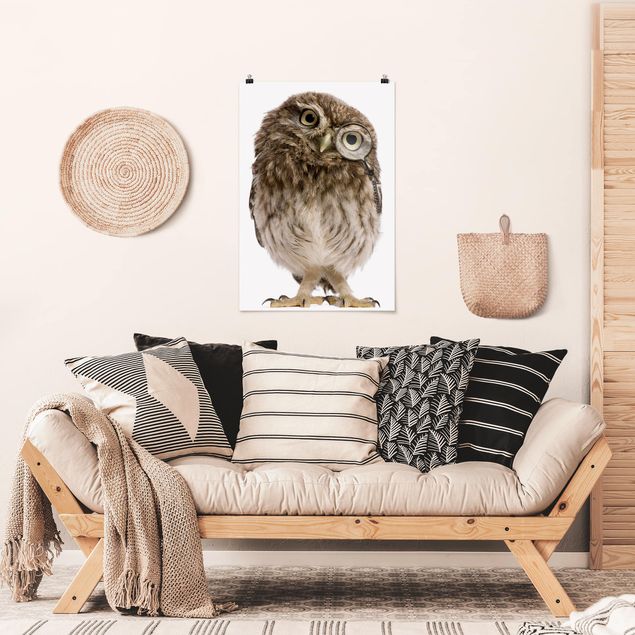 Poster - Curioso Owl - Verticale 3:2