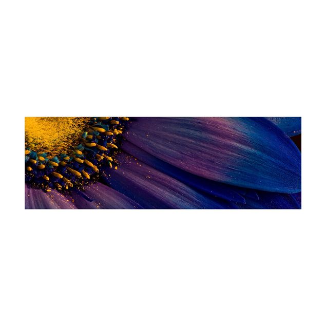 Tappeto cucina viola Fiore di gerbera blu
