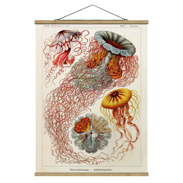 Foto su tessuto da parete con bastone - Vintage Consiglio Jellyfish - Verticale 4:3