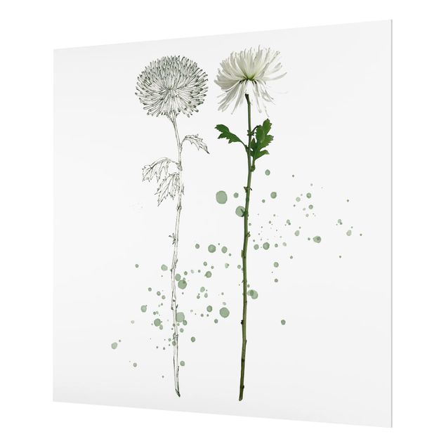 Paraschizzi in vetro - Botanical Watercolor - Dandelion