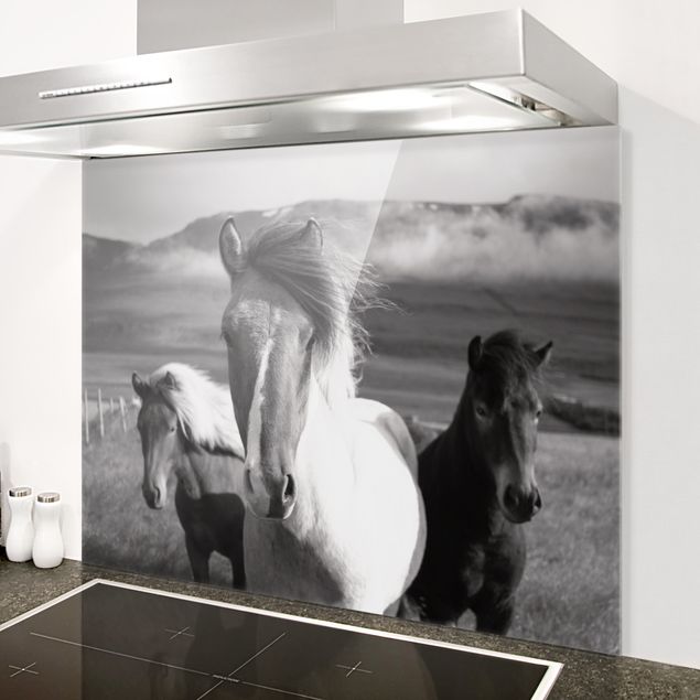 paraschizzi cucina vetro magnetico Cavalli selvaggi in bianco e nero