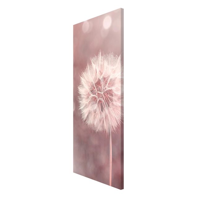 Lavagna magnetica - Dandelion rosa bokeh - Panorama formato verticale