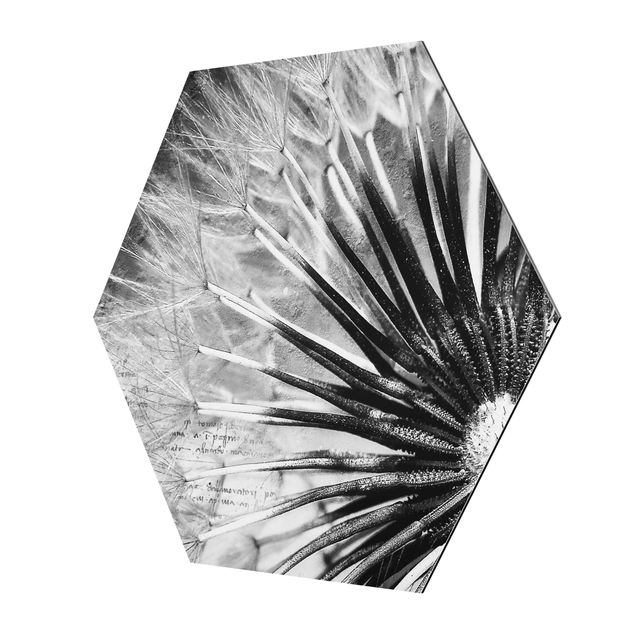 Esagono in Alluminio Dibond - Dandelion Black & White
