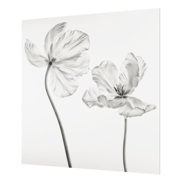 Paraschizzi in vetro - Due delicati tulipani bianchi - Quadrato 1:1