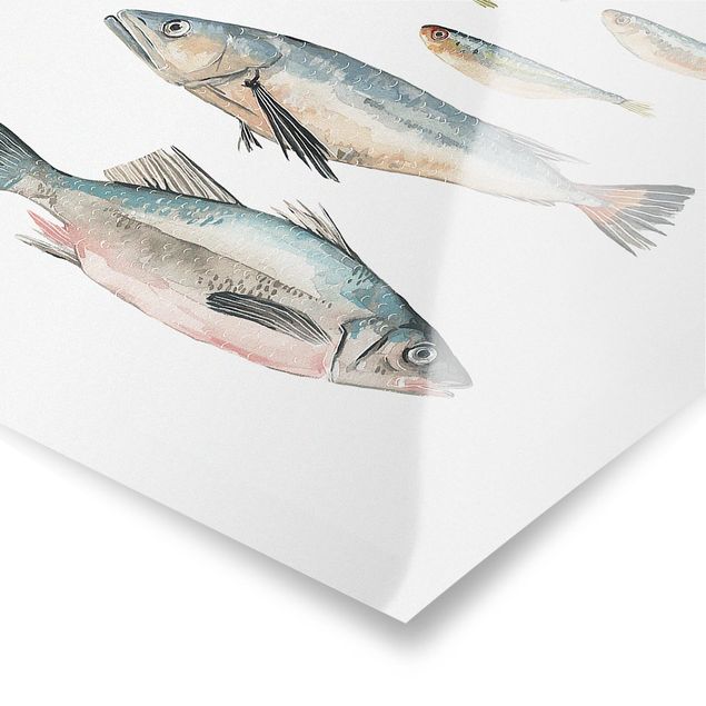 Poster - Sette pesce in acqua di colore II - Verticale 3:2