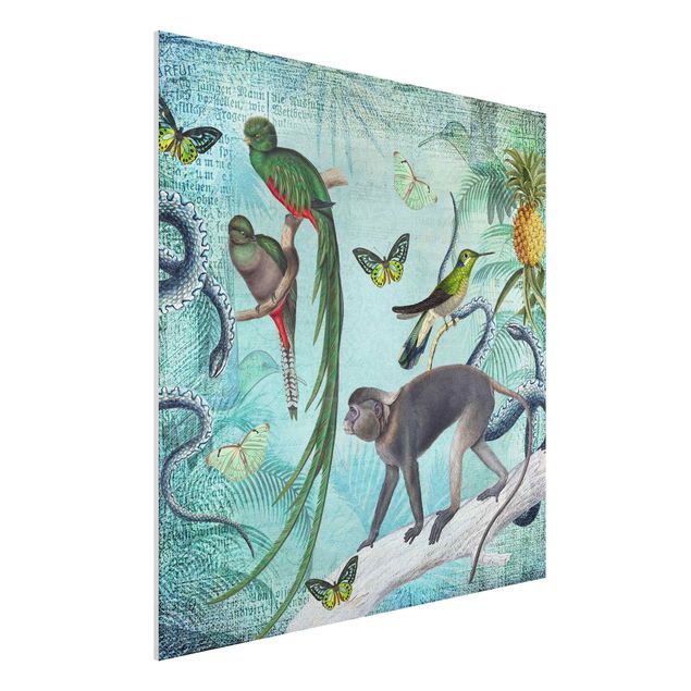 Quadri animali Collage in stile coloniale - Scimmie e uccelli del paradiso