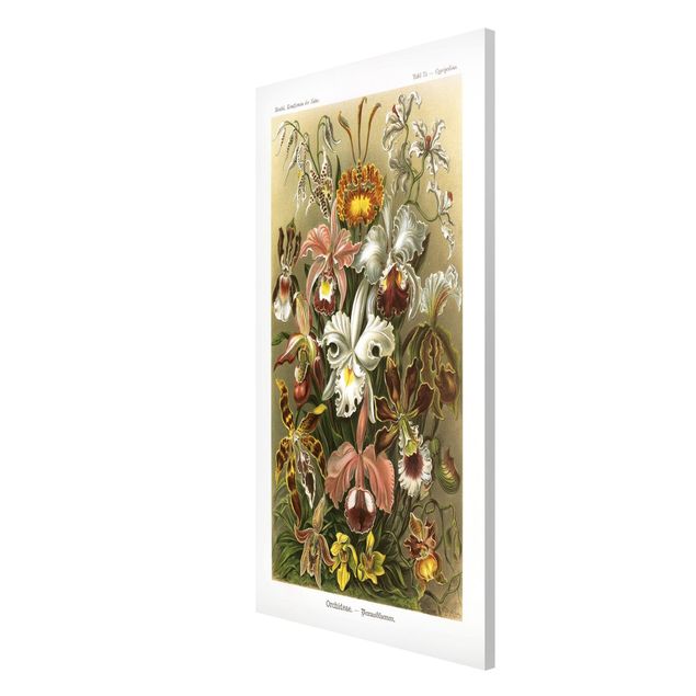 Lavagna magnetica - Consiglio Orchid Vintage - Formato verticale 4:3
