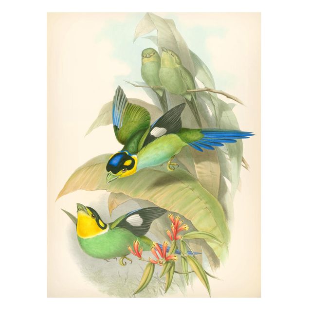 Lavagna magnetica per ufficio Illustrazione vintage Uccelli tropicali