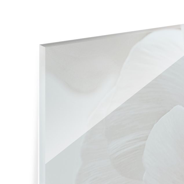 Paraschizzi in vetro - Fioritura bianca in un mare di fiori - Formato orizzontale 2:1