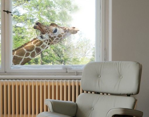 Pellicola per vetri Ricerca della giraffa
