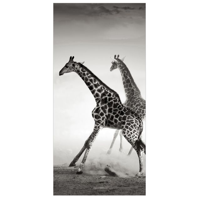 Tenda a pannello Giraffe Hunting 250x120cm