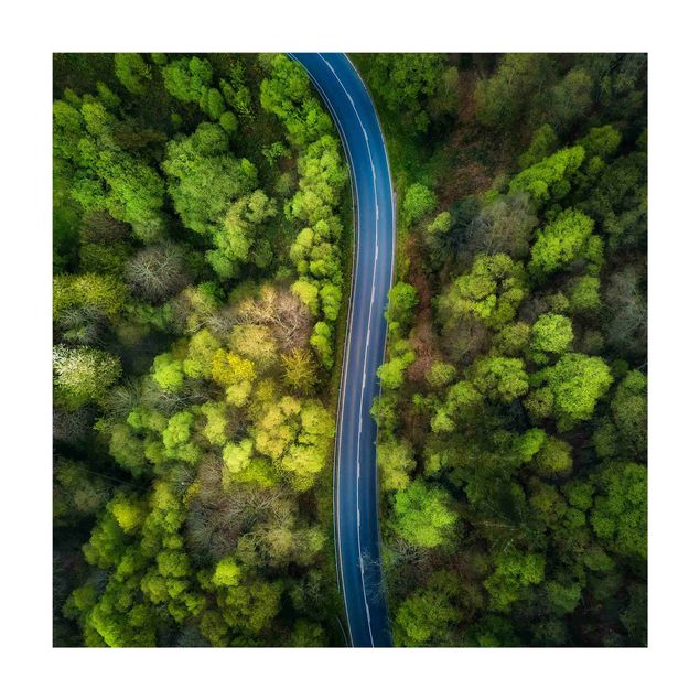 Tappeti verdi Vista aerea - Strada asfaltata nella foresta