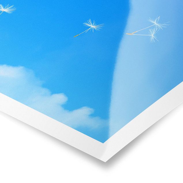 Poster - Semi volanti - Panorama formato orizzontale