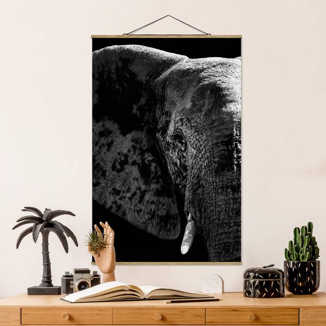 Quadri animali Elefante africano in bianco e nero