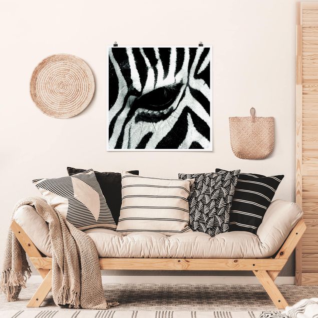 Poster - zebra - Quadrato 1:1